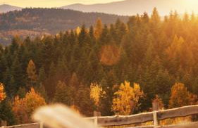 Beskidzki Reset - Foto 18