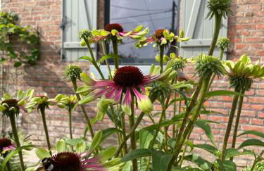 Les Charmes de Villers - Foto 59