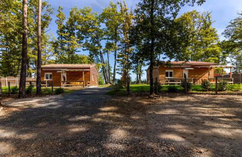 Gite 2 de l'Orée du Bois - Foto 20