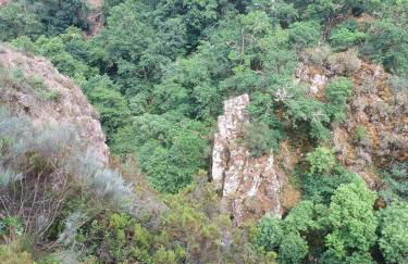 Charming House in Parada with Large Garden - Foto 63