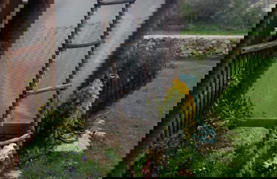 Las Tejeruelas - Foto 31