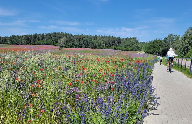 Kamienny Ogród Holiday Park - Foto 45