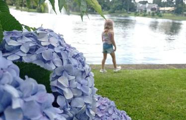 Suíte Superior no Laje de Pedra (1003) - Foto 40