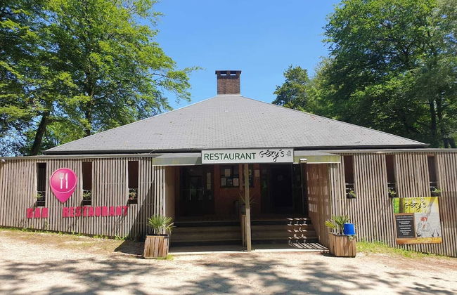 Etape en forêt - Foto 3