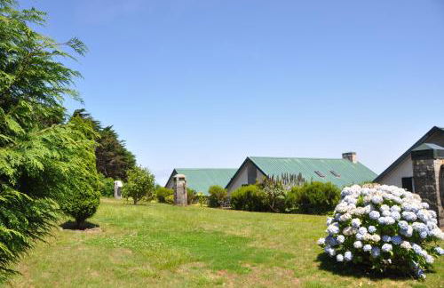 Luxury VILLA CAMÉLIA. Mountains, golf, horses, levada walks. - Foto 34