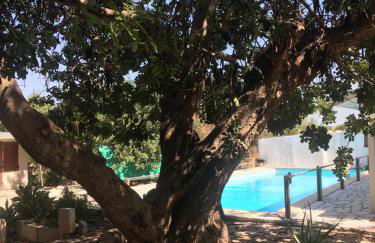 La Casa del Carrubo con Piscina condivisa in campagna vicino al mare - Canestanco 18 - Foto 3