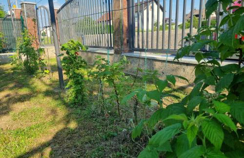 Apartman Goran - 130m Radiochirurgia - Foto 75