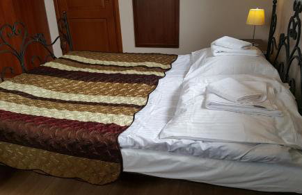 Willa Dzika Róża - Foto 33