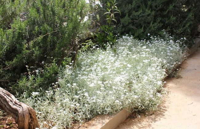 Holiday Home Sea View - Foto 20