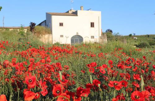 Masseria Agriturismo Moschella - Foto 34