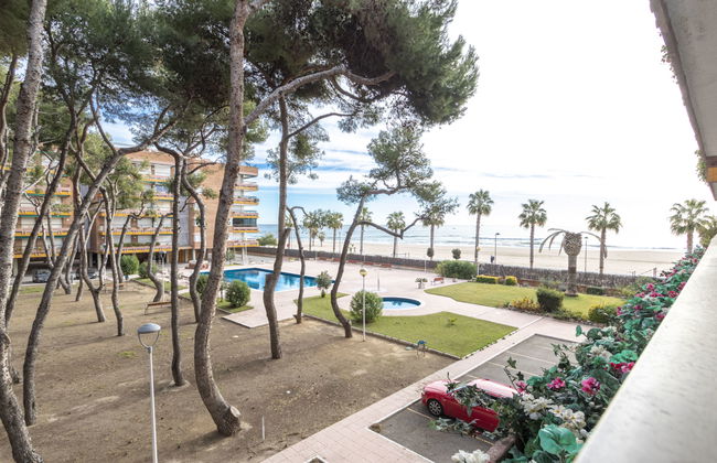 Els Pins Cyclamen - Foto 3