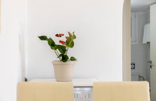 Lydia's East Apartment - Photo 15