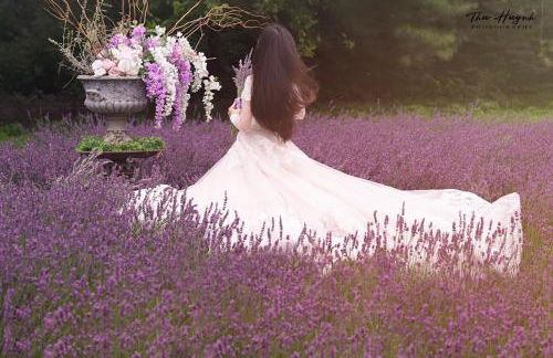 LeFay Cottage at Little Washington - Foto 29