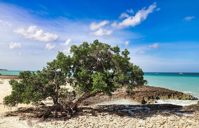 Eagle Stays Aruba - Foto 57