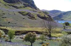 West Cumbria static caravan - Foto 49