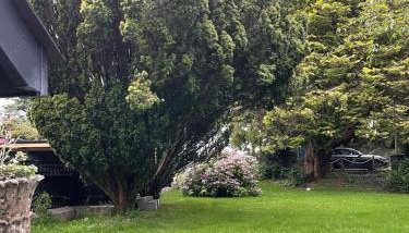 Garden Retreat Wales - Foto 5, Garden view