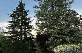 Villa Paradiso - Foto 25