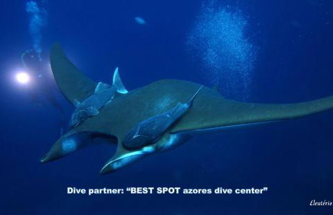 Green & Blue 3 Bedrooms - Photo 51