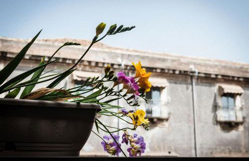 Don Assenzio Temporary Home - Foto 18