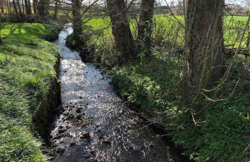 Cosy Alpine Cottage in the heart of Lancashire - Foto 11