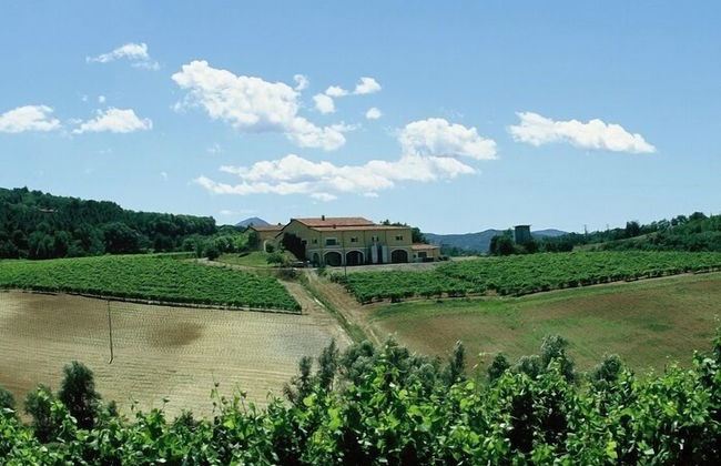 La Tenuta La Meirana - Foto 5