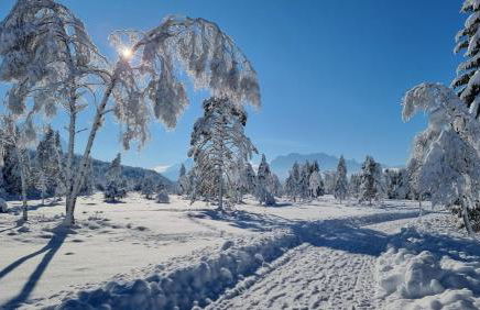 Alpenchalet St.Ulrich - Foto 55