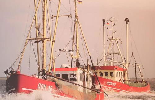 Ferienhaus Poseidon - Foto 29