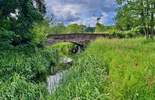 Heron - Luxurious Off-Grid Eco Cabin with River views - Foto 18