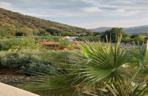 Apartment with Jacuzzi near Etna - Foto 23
