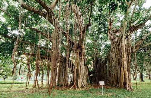 Stay Inspired | Cozy Artist Loft, Walkable & Artsy - Foto 4