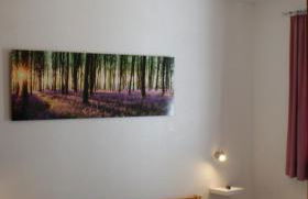 Ferienhaus Kellerwald - Foto 11