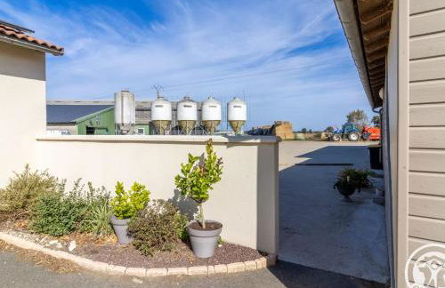 Gîte cosy avec spa privatif, terrasse et parking, au cœur des vignobles du Layon, idéal pour couples. - FR-1-622-21 - Photo 14