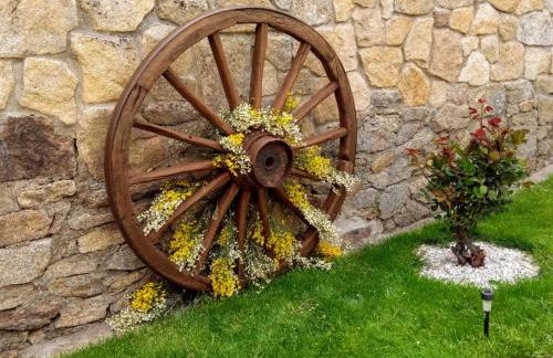 Tinao de Gredos - Foto 21