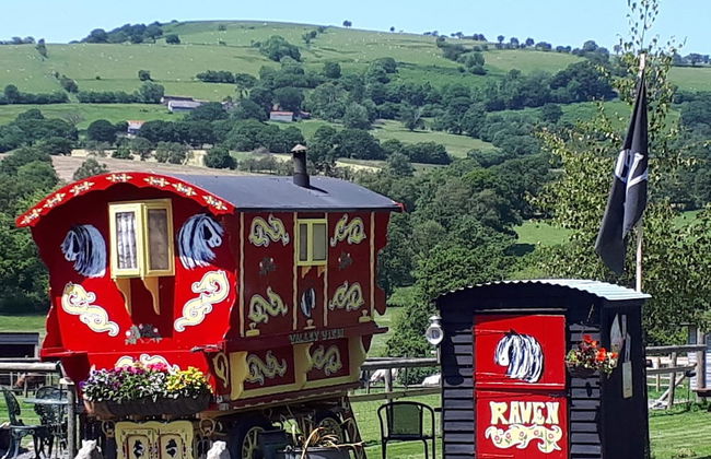 Rosie Traditional Gypsy Wagon - Foto 18