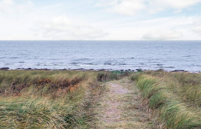 Idyllic Holiday Home in Store Fuglede near Forest - Foto 30