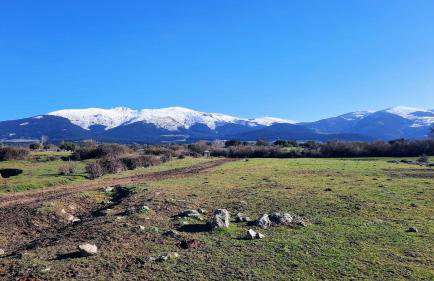 Aurea - Foto 19