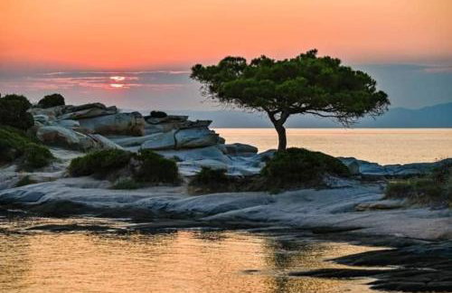 Villa Dimitrios(2 independent apartments 200sq m) - Foto 45