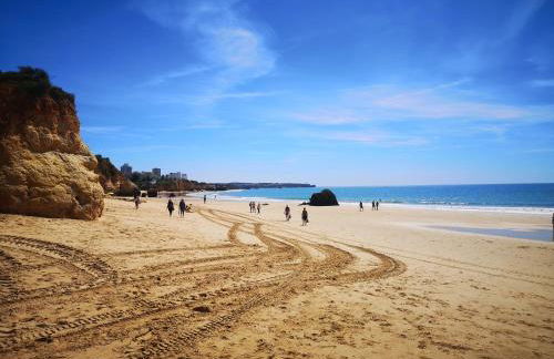 Vau Costa Apartment - Foto 40