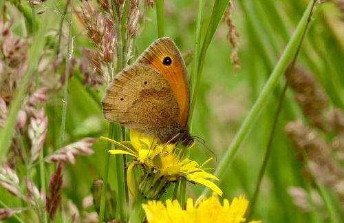 The Old Mill Annexe - Foto 77