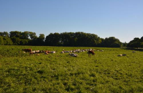 Ferienappartements "Landromantik" - Foto 60