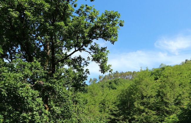 Holiday Home in Rio Near Fishing Villages - Foto 34