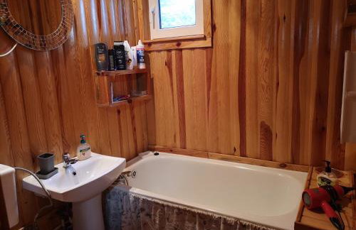 domki nad jeziorem, las, do 10 osób jezioro Wilczyńskie Budzisławskie - domek letniskowy osobno ogrodzony, ogrzewany mile widziane pieski, zwierzeta- wielkopolska, 62-550 Zygmuntowo gm Wilczyn - Photo 29