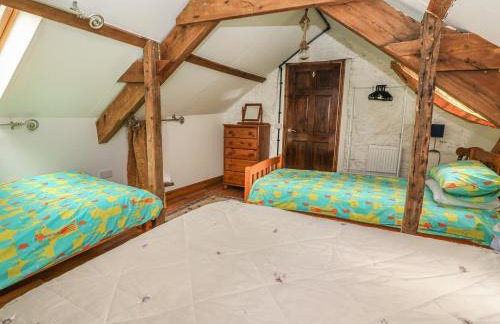 Felin Iago - Foto 21