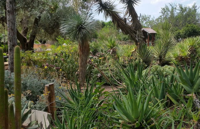 Le Radici Casa Vacanze - Foto 62