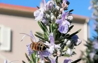 Agriturismo Susanna e Atria - Foto 50