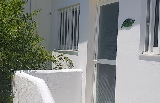 Aspro Spiti - Photo 51