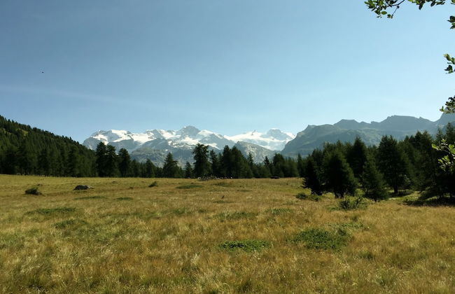 Affittacamere Buenavista Guest House - Foto 20