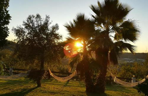 Quinta de S. Vicente 317 - Foto 28