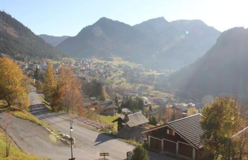 Charmant 3 pièces à Châtel avec balcon, proche pistes et navettes, pour 6 personnes - FR-1-676-62 - Foto 12