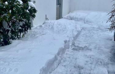 Idas Garten - Foto 49